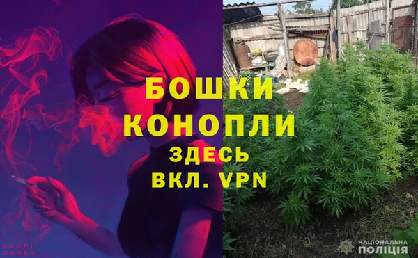 бошки Алзамай