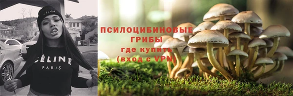 бошки Алзамай