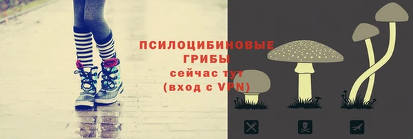 дживик Алексеевка