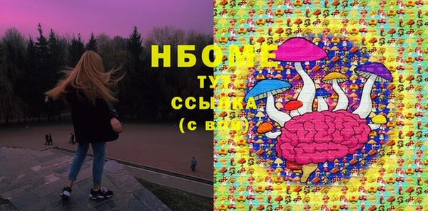 твердый Алексин
