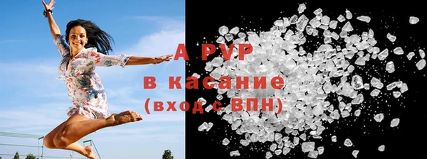 молекула духа Карпинск