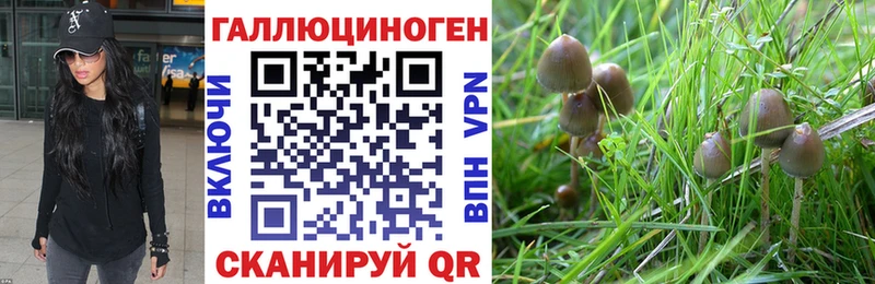 Псилоцибиновые грибы ЛСД  купить закладку  kraken как войти  Духовщина 